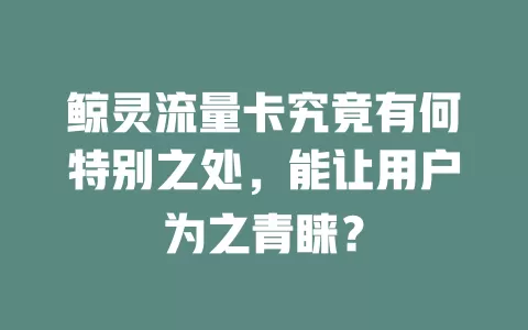 鲸灵流量卡究竟有何特别之处，能让用户为之青睐？