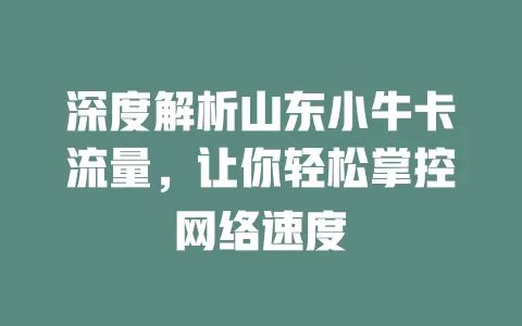 深度解析山东小牛卡流量，让你轻松掌控网络速度