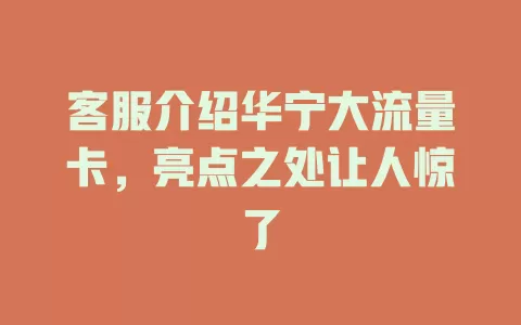 客服介绍华宁大流量卡，亮点之处让人惊了