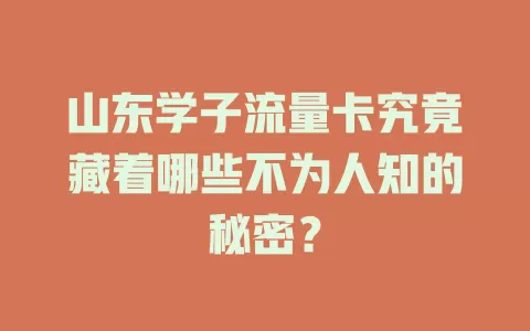 山东学子流量卡究竟藏着哪些不为人知的秘密？