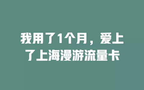 我用了1个月，爱上了上海漫游流量卡