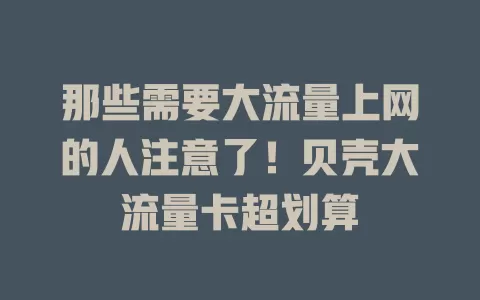 那些需要大流量上网的人注意了！贝壳大流量卡超划算