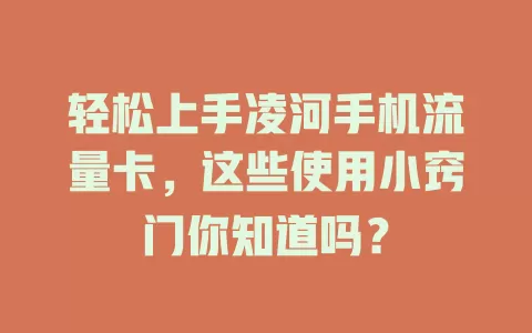 轻松上手凌河手机流量卡，这些使用小窍门你知道吗？