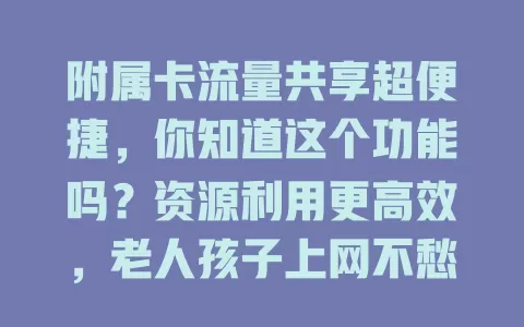 附属卡流量共享超便捷，你知道这个功能吗？资源利用更高效，老人孩子上网不愁，出差旅行也划算，操作简便还能避免过度使用，快试试！