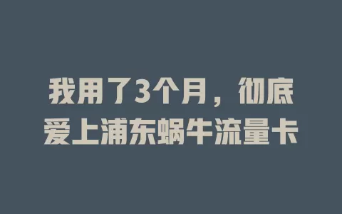 我用了3个月，彻底爱上浦东蜗牛流量卡