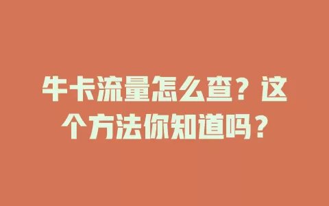 牛卡流量怎么查？这个方法你知道吗？