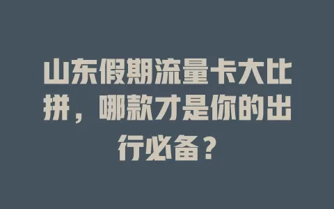 山东假期流量卡大比拼，哪款才是你的出行必备？