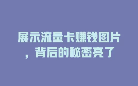 展示流量卡赚钱图片，背后的秘密亮了