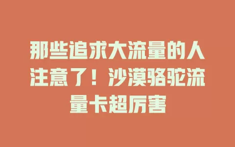 那些追求大流量的人注意了！沙漠骆驼流量卡超厉害
