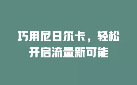 巧用尼日尔卡，轻松开启流量新可能