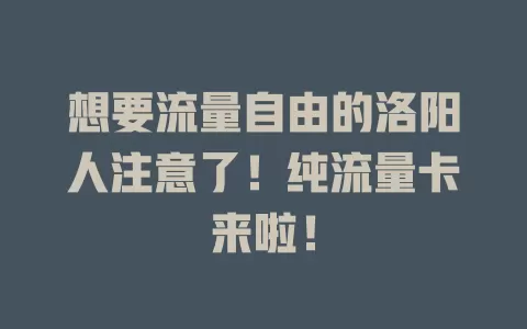 想要流量自由的洛阳人注意了！纯流量卡来啦！
