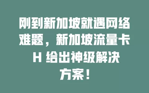 刚到新加坡就遇网络难题，新加坡流量卡 H 给出神级解决方案！