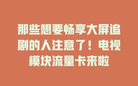 那些想要畅享大屏追剧的人注意了！电视模块流量卡来啦
