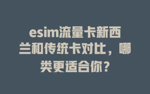 esim流量卡新西兰和传统卡对比，哪类更适合你？