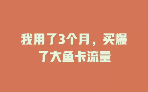 我用了3个月，买爆了大鱼卡流量
