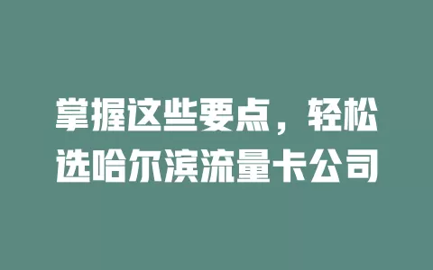 掌握这些要点，轻松选哈尔滨流量卡公司
