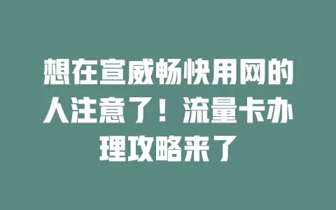 想在宣威畅快用网的人注意了！流量卡办理攻略来了