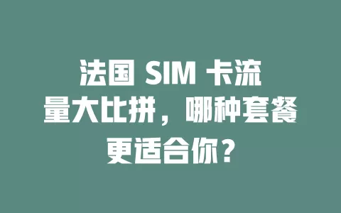法国 SIM 卡流量大比拼，哪种套餐更适合你？
