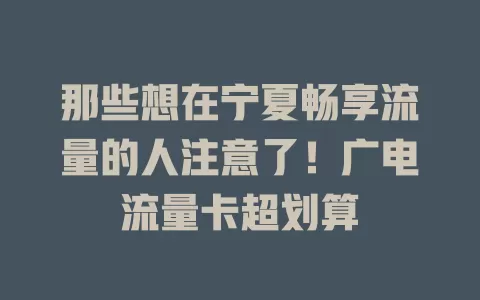 那些想在宁夏畅享流量的人注意了！广电流量卡超划算