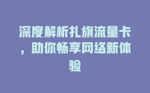 深度解析扎旗流量卡，助你畅享网络新体验