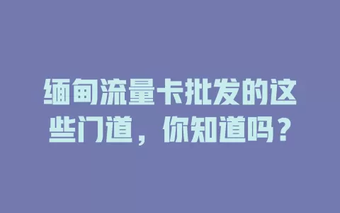 缅甸流量卡批发的这些门道，你知道吗？