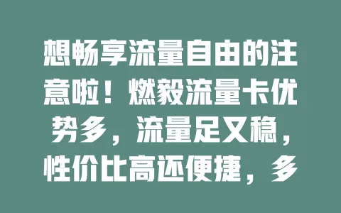 想畅享流量自由的注意啦！燃毅流量卡优势多，流量足又稳，性价比高还便捷，多设备可用，是流量需求大用户的绝佳选择