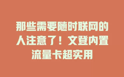 那些需要随时联网的人注意了！文登内置流量卡超实用