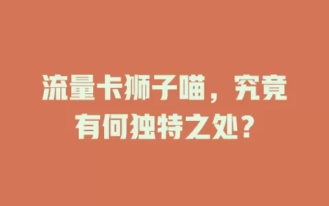 流量卡狮子喵，究竟有何独特之处？