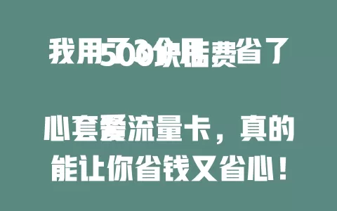 我用了3个月，省了500块话费

爱心套餐流量卡，真的能让你省钱又省心！我亲身体验了3个月，每月话费省了不少。它不仅流量充足，费用还超划算，真的爱了！