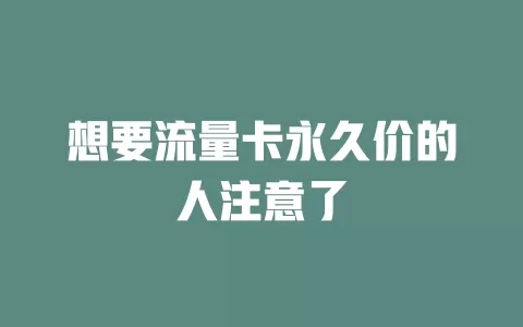 想要流量卡永久价的人注意了