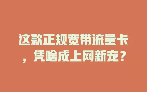 这款正规宽带流量卡，凭啥成上网新宠？