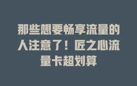 那些想要畅享流量的人注意了！匠之心流量卡超划算