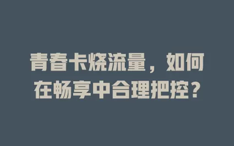 青春卡烧流量，如何在畅享中合理把控？