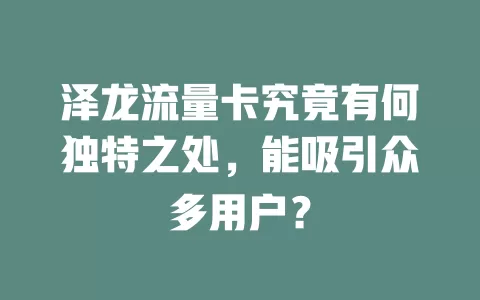 泽龙流量卡究竟有何独特之处，能吸引众多用户？