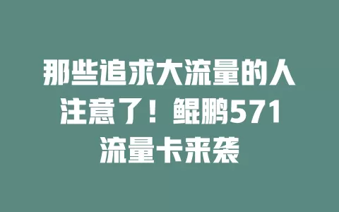 那些追求大流量的人注意了！鲲鹏571流量卡来袭
