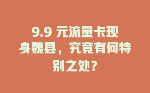 9.9 元流量卡现身魏县，究竟有何特别之处？
