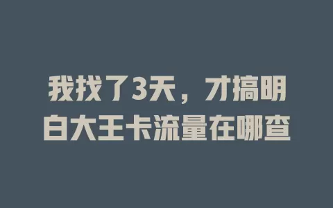 我找了3天，才搞明白大王卡流量在哪查