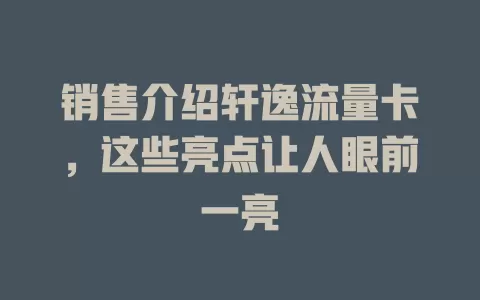 销售介绍轩逸流量卡，这些亮点让人眼前一亮