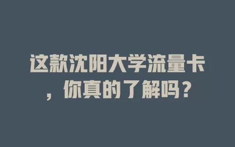 这款沈阳大学流量卡，你真的了解吗？