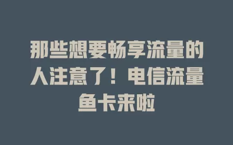 那些想要畅享流量的人注意了！电信流量鱼卡来啦