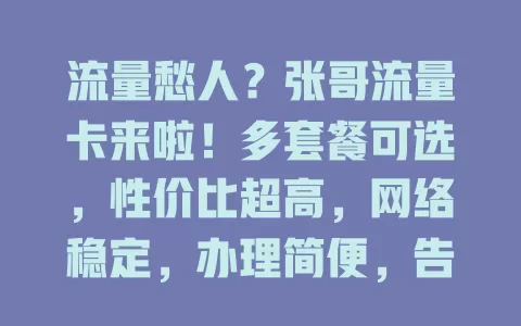 流量愁人？张哥流量卡来啦！多套餐可选，性价比超高，网络稳定，办理简便，告别流量焦虑，畅享网络精彩
