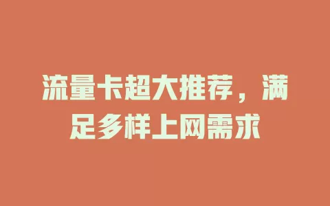 流量卡超大推荐，满足多样上网需求
