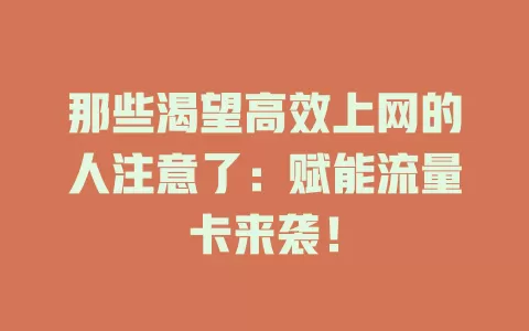 那些渴望高效上网的人注意了：赋能流量卡来袭！