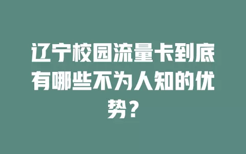 辽宁校园流量卡到底有哪些不为人知的优势？