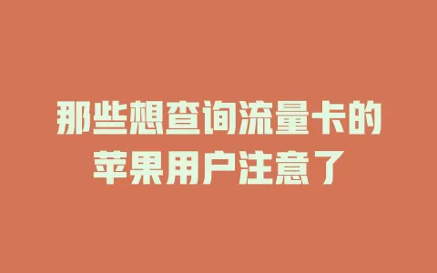 那些想查询流量卡的苹果用户注意了