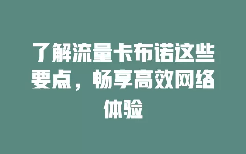 了解流量卡布诺这些要点，畅享高效网络体验