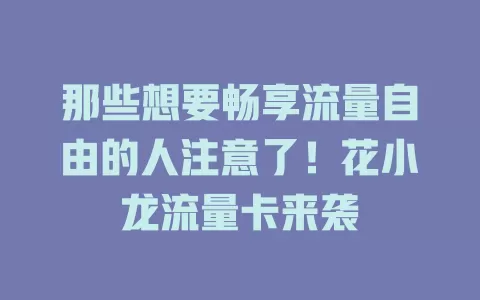 那些想要畅享流量自由的人注意了！花小龙流量卡来袭