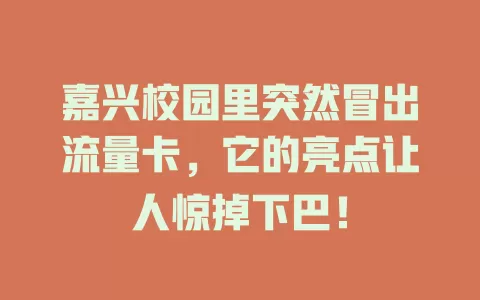 嘉兴校园里突然冒出流量卡，它的亮点让人惊掉下巴！