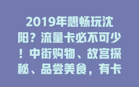 2019年想畅玩沈阳？流量卡必不可少！中街购物、故宫探秘、品尝美食，有卡随时分享，告别网络困扰，留下美好回忆！