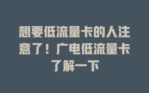 想要低流量卡的人注意了！广电低流量卡了解一下